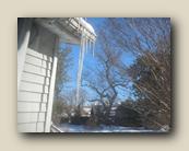 Winter 2024 011.jpg
